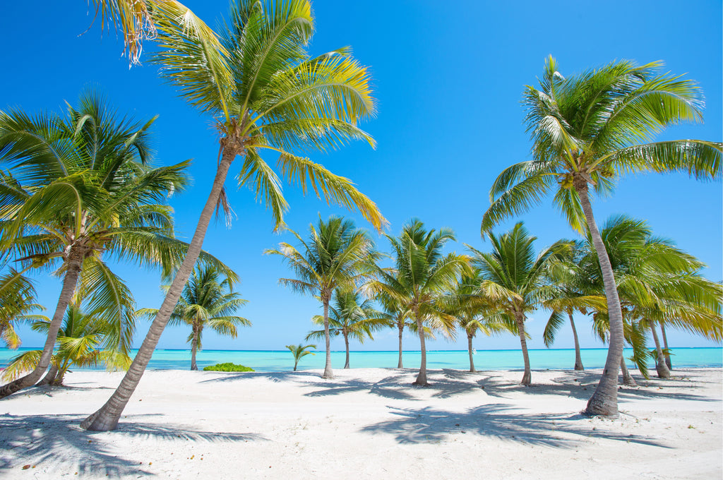 Your Summer SPF Guide: The Best Sun Protection for Every Skin Type & Occasion